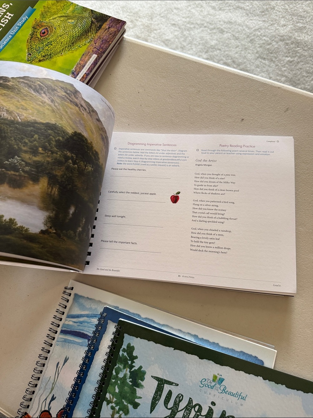 Good & Beautiful Language Arts & Literature Level Six Course Book - Green - Picture 10 of 10
